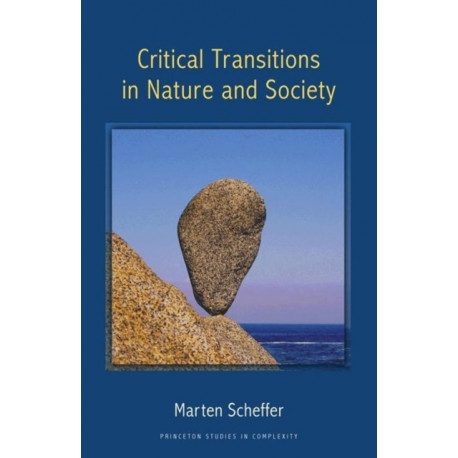 Critical Transitions in Nature and Society