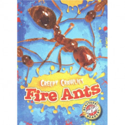 Fire Ants