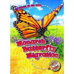 Monarch Butterfly Migration