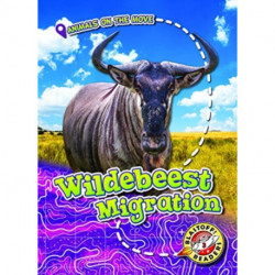 Wildebeest Migration