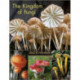 The Kingdom of Fungi