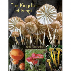 The Kingdom of Fungi
