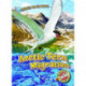 Arctic Tern Migration