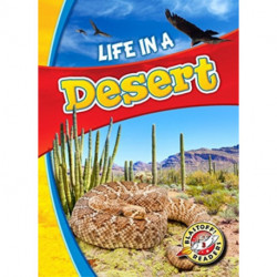 Life in a Desert