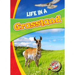 Life in a Grassland