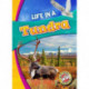 Life in a Tundra