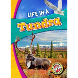Life in a Tundra