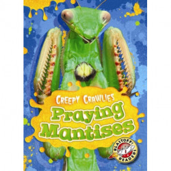 Praying Mantises
