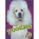 Poodles