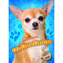 Chihuahuas