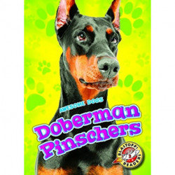 Doberman Pinschers