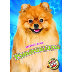 Pomeranians