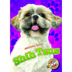 Shih Tzus