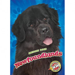Newfoundlands