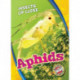 Aphids