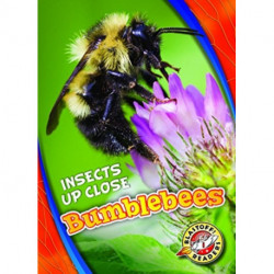 Bumblebees