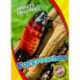 Cockroaches