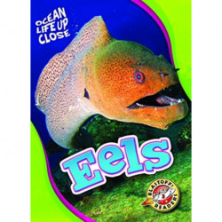 Eels