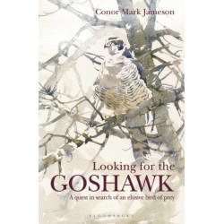 Looking for the Goshawk