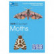 RSPB ID Spotlight - Moths