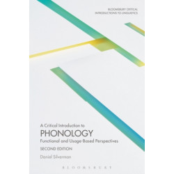 A Critical Introduction to Phonology: Functional and Usage-Based Perspectives