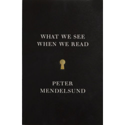 What We See When We Read
