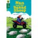 Oxford Reading Tree All Stars: Oxford Level 12 : Nan and the Baaad Sheep
