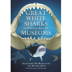 Great White Sharks in United States Museums