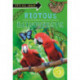 It's all about... Riotous Rainforests