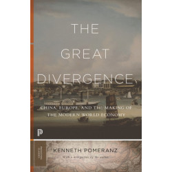 The Great Divergence: China, Europe, and the Making of the Modern World Economy