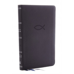 KJV Holy Bible: Thinline Youth Edition, Gray Leathersoft, Red Letter, Comfort Print: King James Version: Holy Bible, King James Version