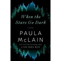When the Stars Go Dark: A Novel