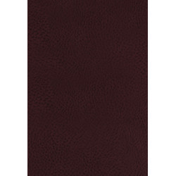 KJV, The King James Study Bible, Bonded Leather, Burgundy, Thumb Indexed, Red Letter, Full-Color Edition: Holy Bible, King James Version