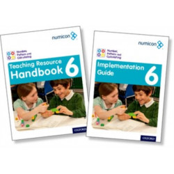 Numicon: Geometry, Measurement and Statistics 6 Teaching Pack