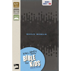KJV, Bible for Kids, Leathersoft, Charcoal: Thinline Edition
