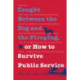 Caught Between the Dog and the Fireplug, or How to Survive Public Service