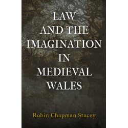 Law and the Imagination in Medieval Wales