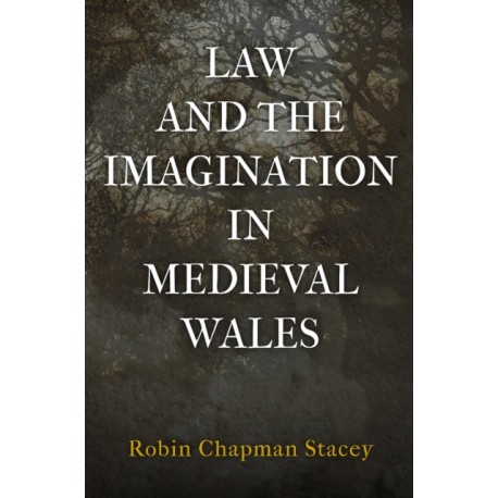 Law and the Imagination in Medieval Wales