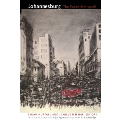 Johannesburg: The Elusive Metropolis