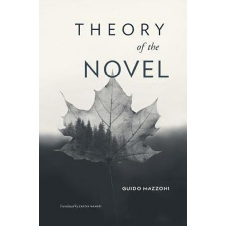 Theory of the Novel