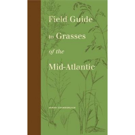 Field Guide to Grasses of the Mid-Atlantic