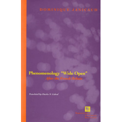 Phenomenology "Wide Open": After the French Debate