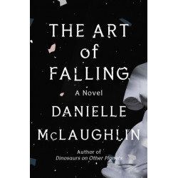 The Art of Falling: A Novel