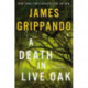 A Death in Live Oak
