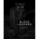 The Black Leopard: My Quest to Photograph One of Africa’s Most Elusive Big Cats