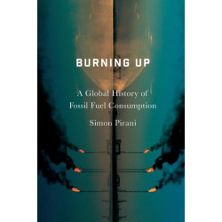 Burning Up: A Global History of Fossil Fuel Consumption