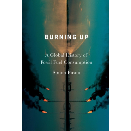Burning Up: A Global History of Fossil Fuel Consumption