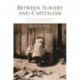 Between Slavery and Capitalism: The Legacy of Emancipation in the American South