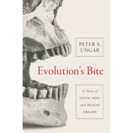 Evolution's Bite: A Story of Teeth, Diet, and Human Origins
