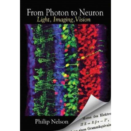 From Photon to Neuron: Light, Imaging, Vision